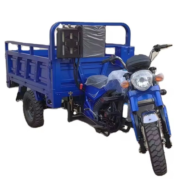 150cc 200cc 250cc Engine Heavy Loading Cargo Box Gasoline Three Wheels Cargo Tricycle Motorcycles